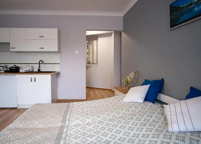 Проживание в семье Koga